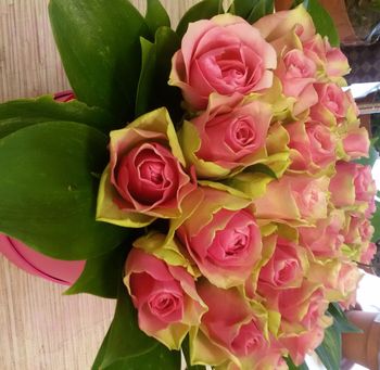 25 роз ,Кения, 40см